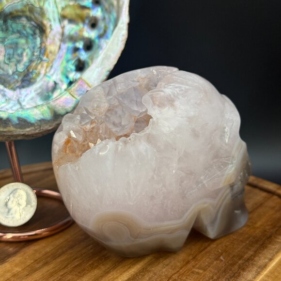 Orca Agate Skull Carving Quartz Pink Clear Neurology Neuro Surgery Office Decor - Picture 6 of 11